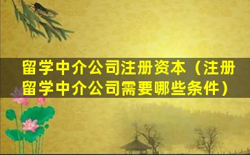 留学中介公司注册资本（注册留学中介公司需要哪些条件）