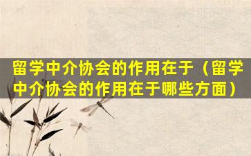 留学中介协会的作用在于（留学中介协会的作用在于哪些方面）