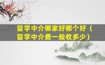 留学中介哪家好哪个好（留学中介费一般收多少）