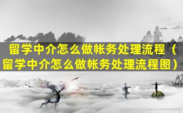 留学中介怎么做帐务处理流程（留学中介怎么做帐务处理流程图）