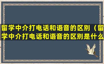 留学中介打电话和语音的区别（留学中介打电话和语音的区别是什么）