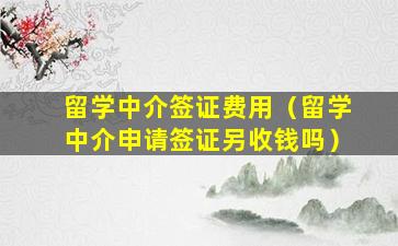 留学中介签证费用（留学中介申请签证另收钱吗）