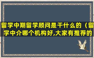 留学中期留学顾问是干什么的（留学中介哪个机构好,大家有推荐的吗）