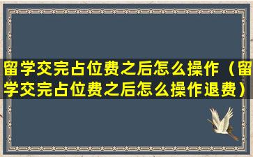 留学交完占位费之后怎么操作（留学交完占位费之后怎么操作退费）