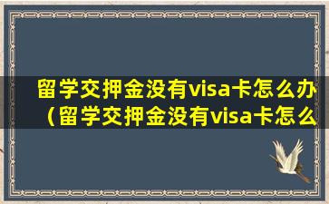 留学交押金没有visa卡怎么办（留学交押金没有visa卡怎么办理）