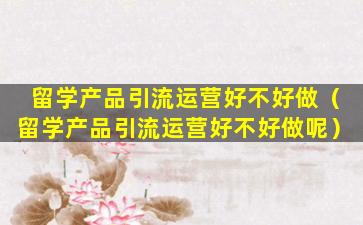 留学产品引流运营好不好做（留学产品引流运营好不好做呢）