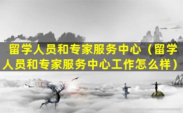 留学人员和专家服务中心（留学人员和专家服务中心工作怎么样）