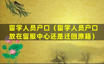 留学人员户口（留学人员户口放在留服中心还是迁回原籍）