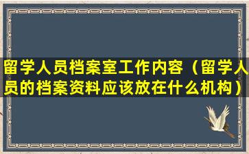 留学人员档案室工作内容（留学人员的档案资料应该放在什么机构）