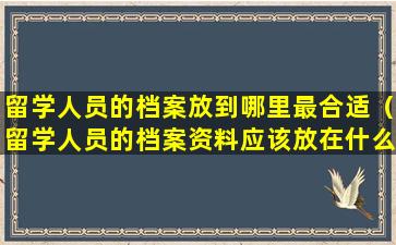 留学人员的档案放到哪里最合适（留学人员的档案资料应该放在什么机构）