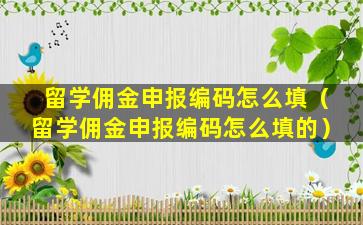 留学佣金申报编码怎么填（留学佣金申报编码怎么填的）