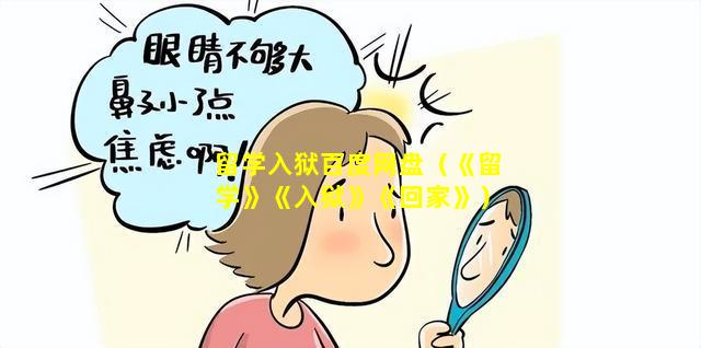 留学入狱百度网盘（《留学》《入狱》《回家》）