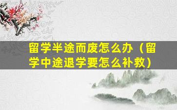 留学半途而废怎么办（留学中途退学要怎么补救）