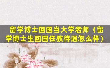 留学博士回国当大学老师（留学博士生回国任教待遇怎么样）
