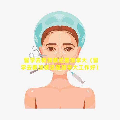 留学去新加坡还是加拿大（留学去新加坡还是加拿大工作好）