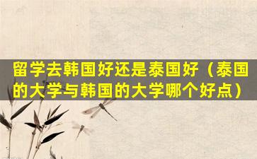 留学去韩国好还是泰国好（泰国的大学与韩国的大学哪个好点）