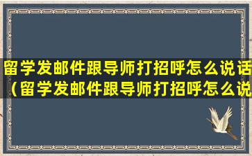 留学发邮件跟导师打招呼怎么说话（留学发邮件跟导师打招呼怎么说话呢）