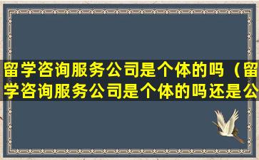 留学咨询服务公司是个体的吗（留学咨询服务公司是个体的吗还是公司）