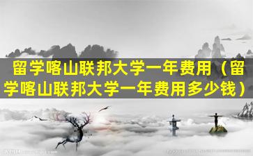 留学喀山联邦大学一年费用（留学喀山联邦大学一年费用多少钱）