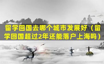 留学回国去哪个城市发展好（留学回国超过2年还能落户上海吗）