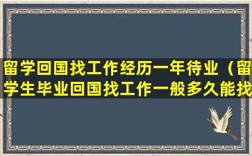 留学回国找工作经历一年待业（留学生毕业回国找工作一般多久能找到）