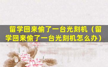 留学回来偷了一台光刻机（留学回来偷了一台光刻机怎么办）