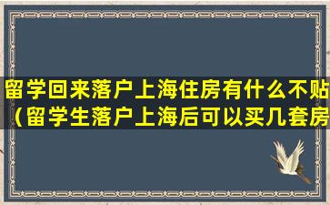 留学回来落户上海住房有什么不贴（留学生落户上海后可以买几套房）