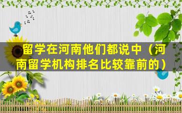 留学在河南他们都说中（河南留学机构排名比较靠前的）