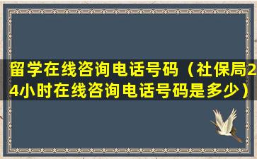 留学在线咨询电话号码（社保局24小时在线咨询电话号码是多少）