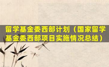 留学基金委西部计划（国家留学基金委西部项目实施情况总结）