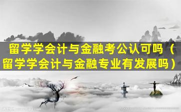 留学学会计与金融考公认可吗（留学学会计与金融专业有发展吗）