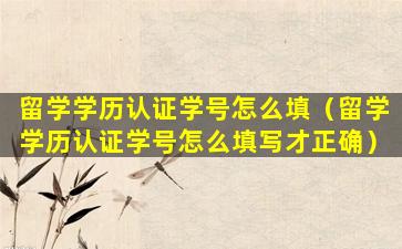 留学学历认证学号怎么填（留学学历认证学号怎么填写才正确）