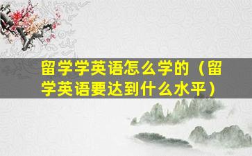 留学学英语怎么学的（留学英语要达到什么水平）