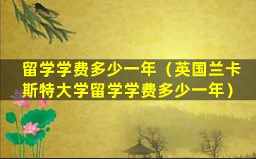 留学学费多少一年（英国兰卡斯特大学留学学费多少一年）