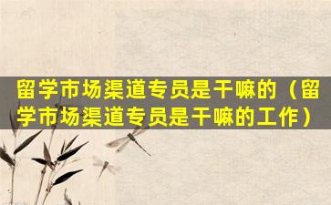 留学市场渠道专员是干嘛的（留学市场渠道专员是干嘛的工作）