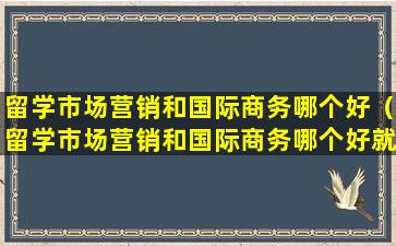留学市场营销和国际商务哪个好（留学市场营销和国际商务哪个好就业）