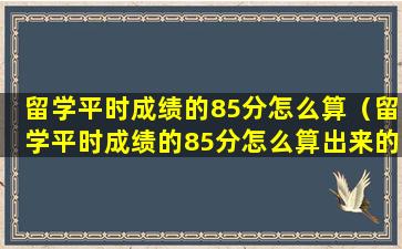 留学平时成绩的85分怎么算（留学平时成绩的85分怎么算出来的）