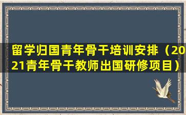 留学归国青年骨干培训安排（2021青年骨干教师出国研修项目）