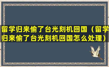 留学归来偷了台光刻机回国（留学归来偷了台光刻机回国怎么处理）