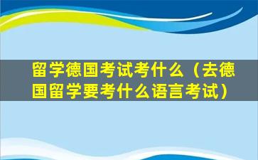 留学德国考试考什么（去德国留学要考什么语言考试）