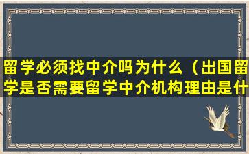 留学必须找中介吗为什么（出国留学是否需要留学中介机构理由是什么）
