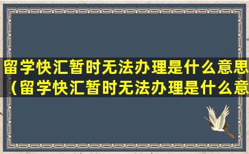 留学快汇暂时无法办理是什么意思（留学快汇暂时无法办理是什么意思呀）