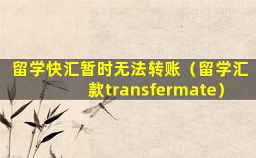 留学快汇暂时无法转账（留学汇款transfermate）