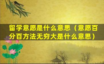 留学意愿是什么意思（意愿百分百方法无穷大是什么意思）