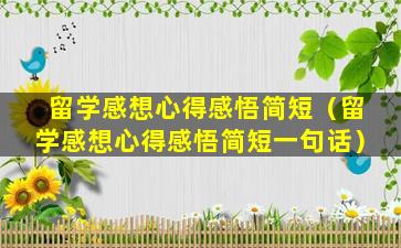 留学感想心得感悟简短（留学感想心得感悟简短一句话）