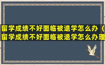 留学成绩不好面临被退学怎么办（留学成绩不好面临被退学怎么办理）