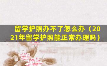 留学护照办不了怎么办（2021年留学护照能正常办理吗）