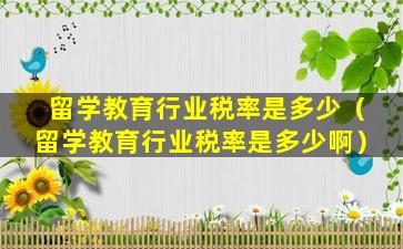 留学教育行业税率是多少（留学教育行业税率是多少啊）