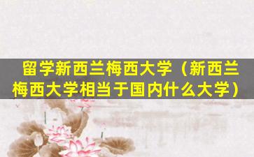 留学新西兰梅西大学（新西兰梅西大学相当于国内什么大学）