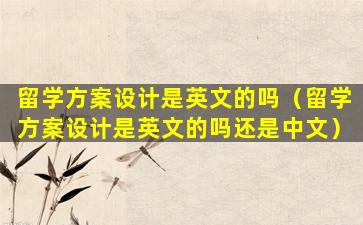 留学方案设计是英文的吗（留学方案设计是英文的吗还是中文）